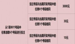 快乐8频在线观看,快乐8精彩瞬间，不容错过的在线盛宴