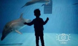 小晨海洋最新爆料,娱乐圈最新爆料大起底